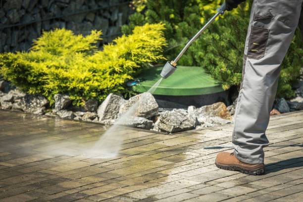 Best Sidewalk and Walkway Cleaning  in Du Quoin, IL