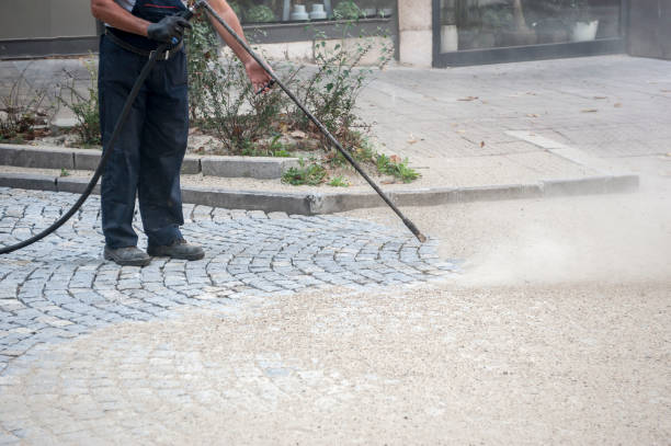 Best Dumpster Area Cleaning  in Du Quoin, IL