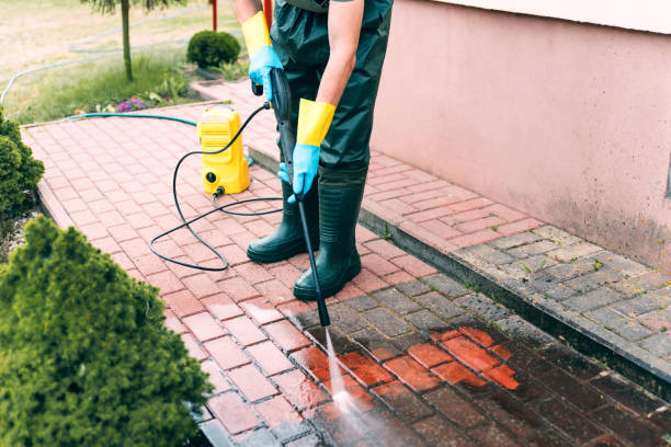 Best Building Exterior Washing  in Du Quoin, IL